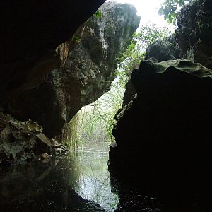 Van Long Nature Reserve, 13/03/12