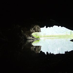 Van Long Nature Reserve, 13/03/12