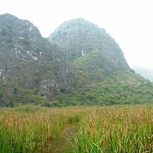 Van Long Nature Reserve, 13/03/12