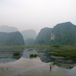 Van Long Nature Reserve, 13/03/12