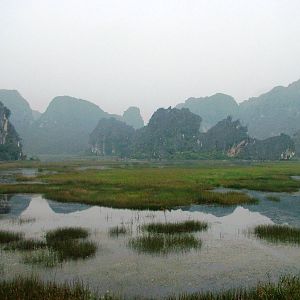 Van Long Nature Reserve, 13/03/12