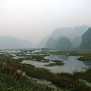 Van Long Nature Reserve, 13/03/12
