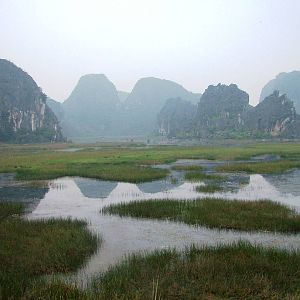 Van Long Nature Reserve, 13/03/12