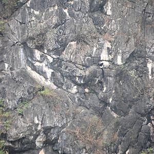 Van Long Nature Reserve, 13/03/12