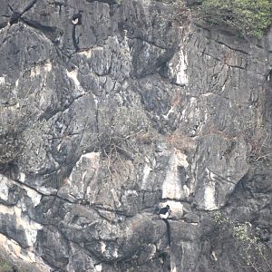 Van Long Nature Reserve, 13/03/12