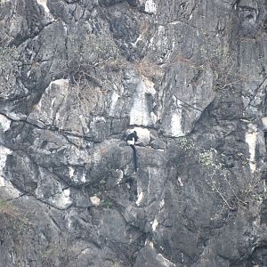 Van Long Nature Reserve, 13/03/12