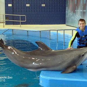 Dolphin Theater-Dolphin In-water Adventure