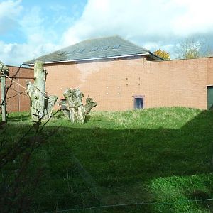 Chimp enclosure, 17 October 2012