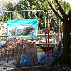 Coati enclosure, 17 October 2012