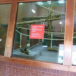 Chimp house, 17 October 2012