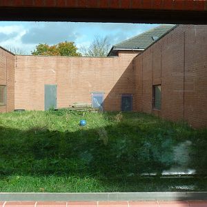 Chimp enclosure, 17 October 2012