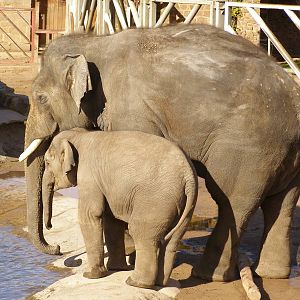 Aung Bo and Jamilah..