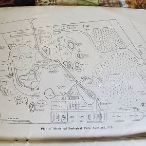 Auckland Zoo Map 1926