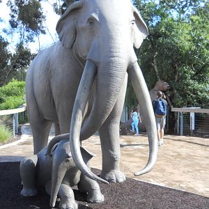 Columbian Mammoth statue Elephant Odyssey