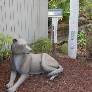 Dire Wolf statue Elephant Odyssey