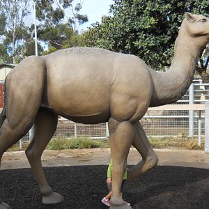 Pleistocene Camel statue Elephant Odyessy