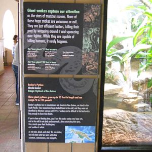 Sign demystifying giant snakes