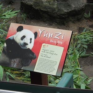 Yun Zi biography