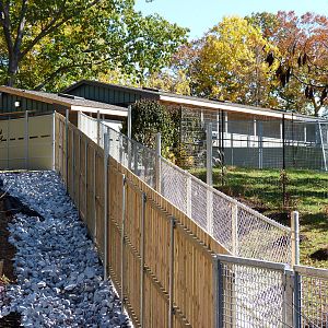 Sitatunga Exhibit Construction 10-22-12