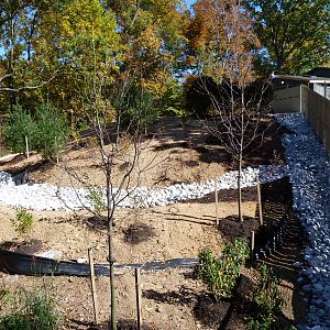 Sitatunga Exhibit Construction 10-22-12
