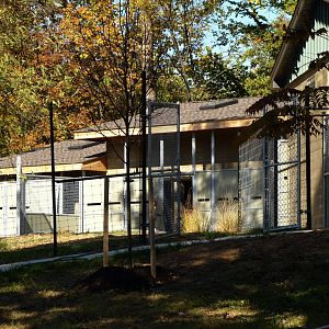 Sitatunga Exhibit Construction 10-22-12