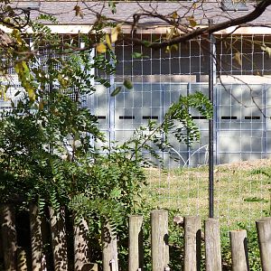 Sitatunga Exhibit Construction 10-22-12