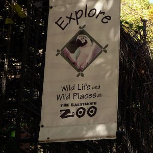 Old Zoo Sign on Display 10-22-12