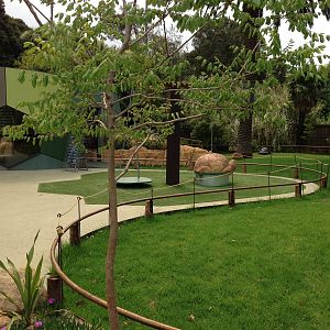 Giant Tortoise Exhibit