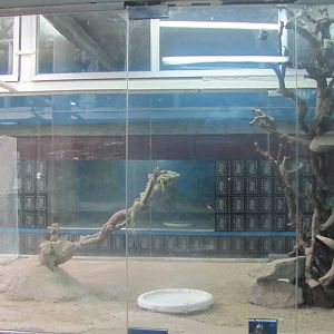 Reptile Enclosures(mashhad zoo)