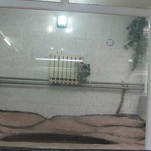 Reptile Enclosures(mashhad zoo)