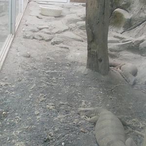 Reptile Enclosures(mashhad zoo)