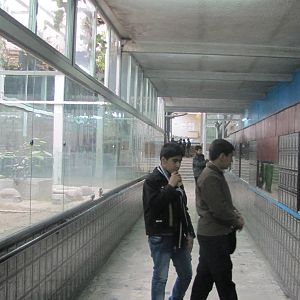 Reptile Enclosures(mashhad zoo)