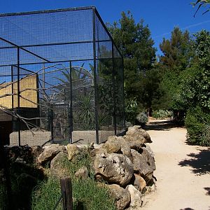 View of porcupine enclosure and macaw aviary behind