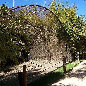 Aviary