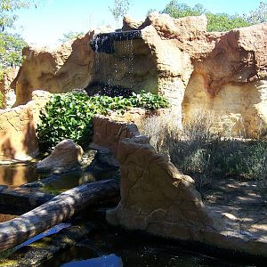 pygmy hippo enclosure