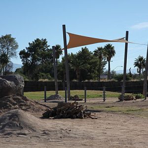 new elephant shade structure