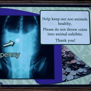 sign about coins