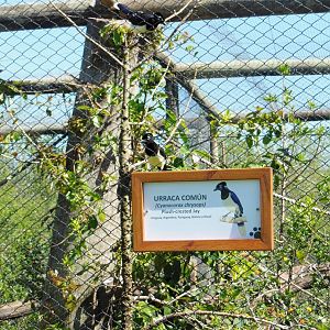 New Animal Identification Signs