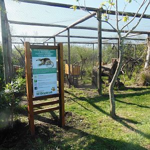 New Animal Identification Signs