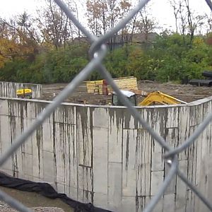 Africa-Future White Lion exhibit