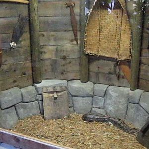 Discovery Forest-Boa Constrictor exhibit