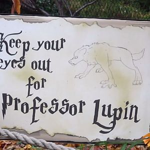 Wolf Woods-Harry Potter sign