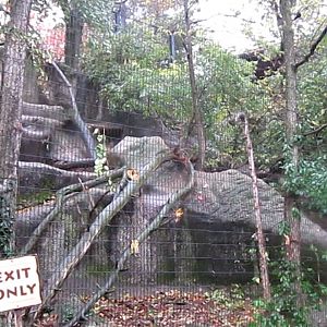 Eagle Eyrie-Andean Condor aviary-From Below