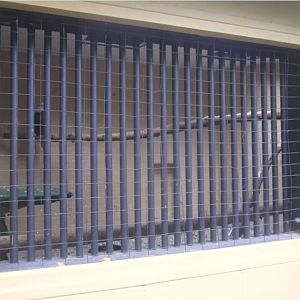 Wings of Wonder Bird Show-Bald Eagle holding