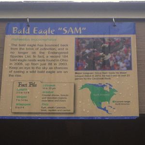 Wings of Wonder Bird Show-Holding Sign