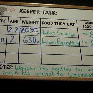 Manatee Springs-Manatee Keeper Notes