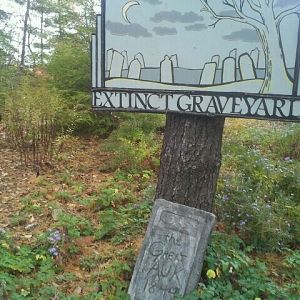 Extinct Graveyard