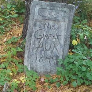 Extinct Graveyard-Great Auk Tombstone
