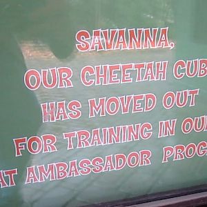 Children's Zoo-Nursery-Cheetah sign