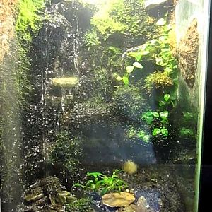 Reptile House-Spotted Salamander exhibit